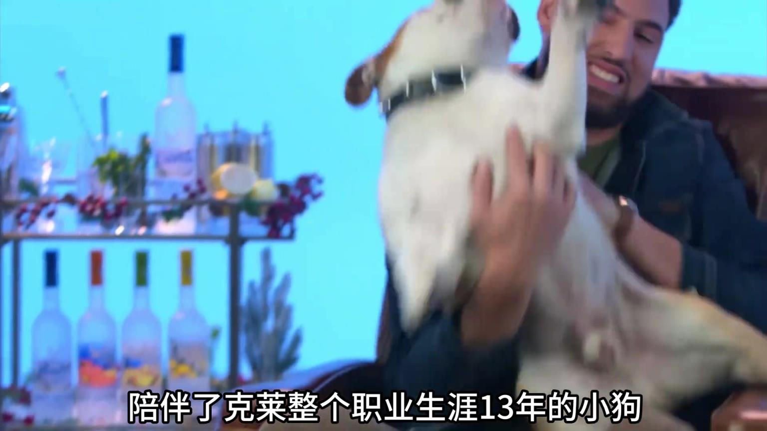 陪伴克萊13年的小狗去世了，不敢相信克萊得多么傷心